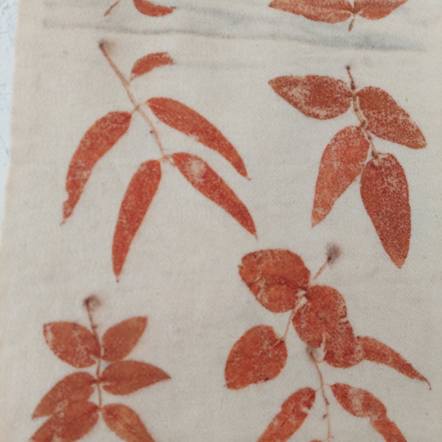 Red Earth - Banner