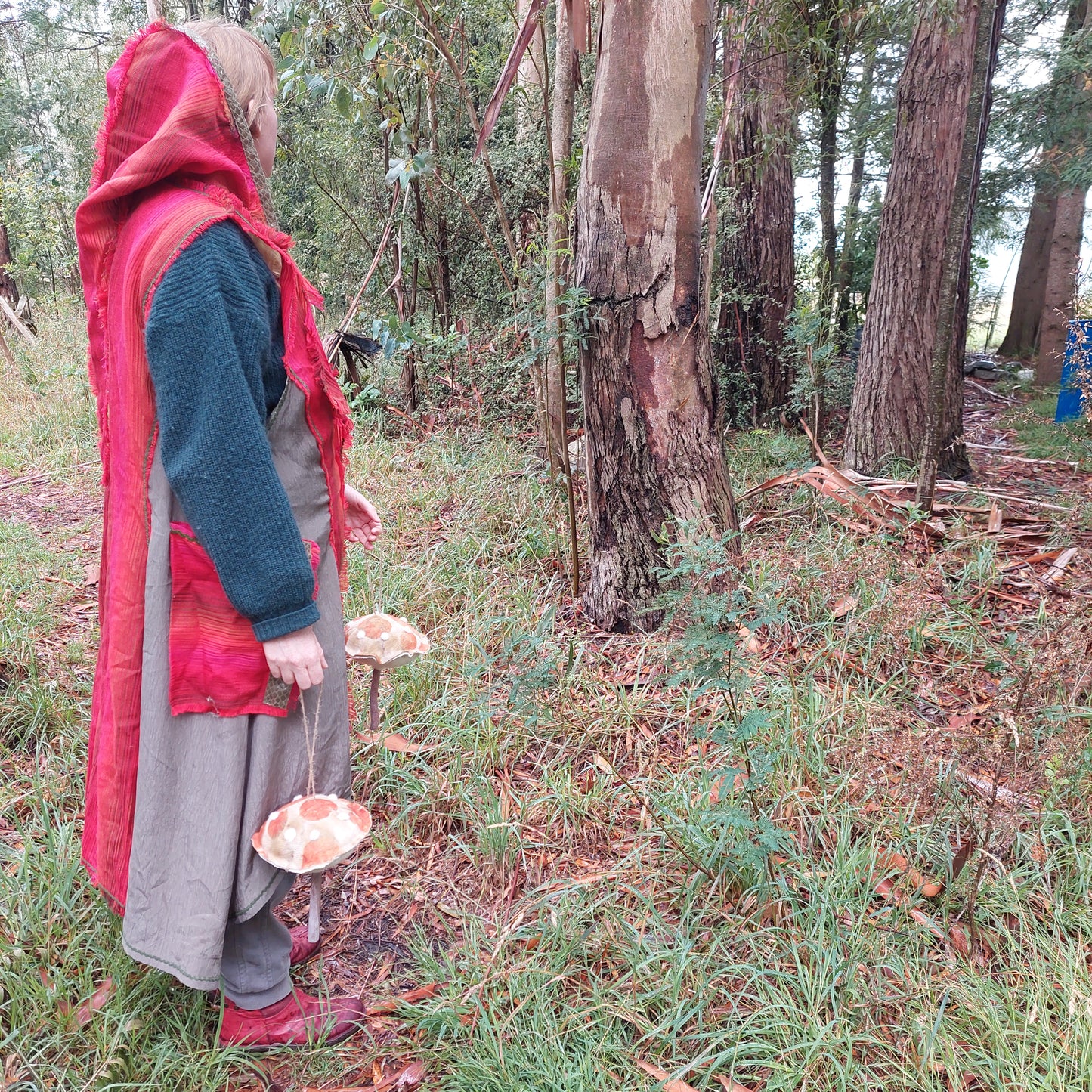 Forest Spore Toadstools