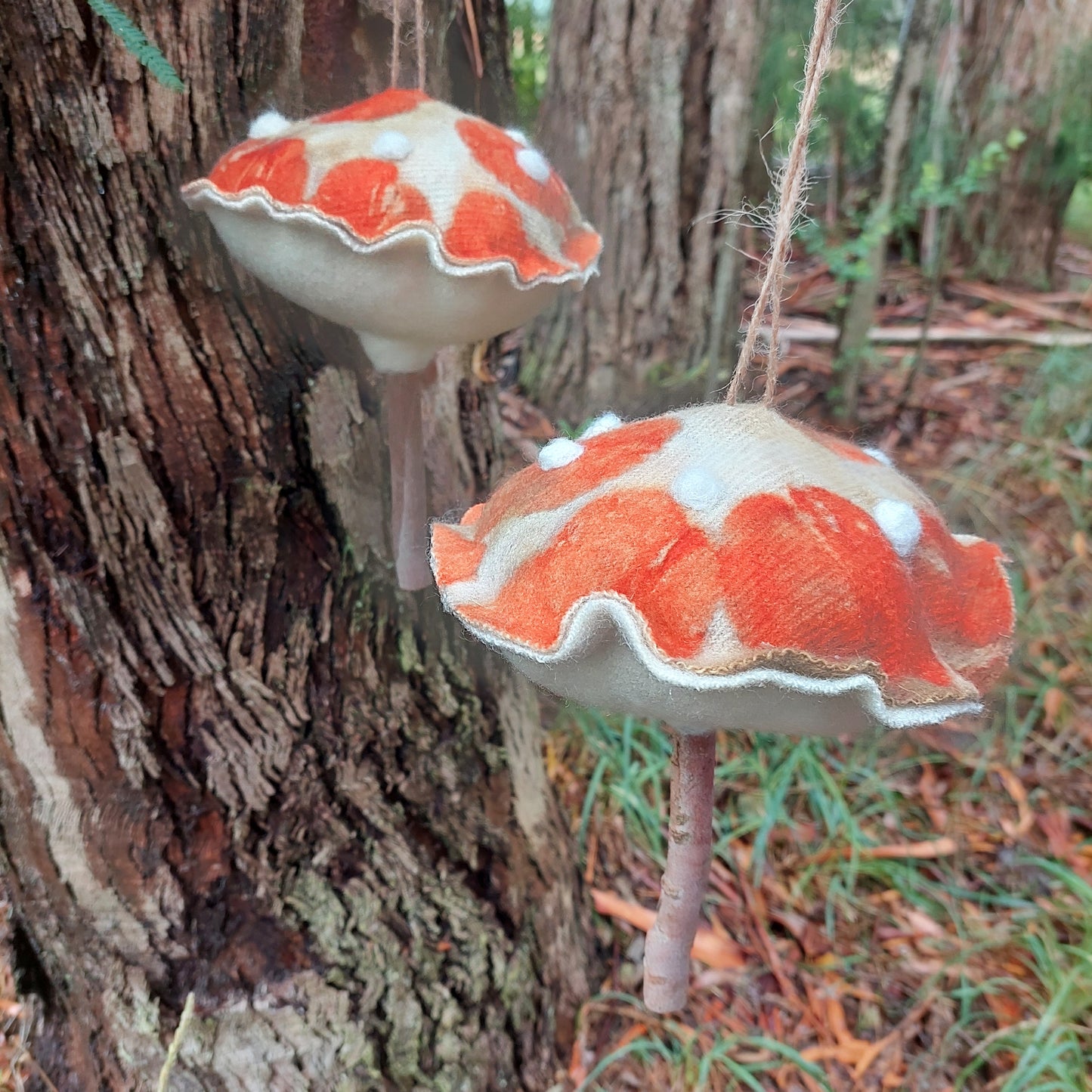 Forest Spore Toadstools