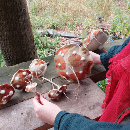 Forest Spore Toadstools