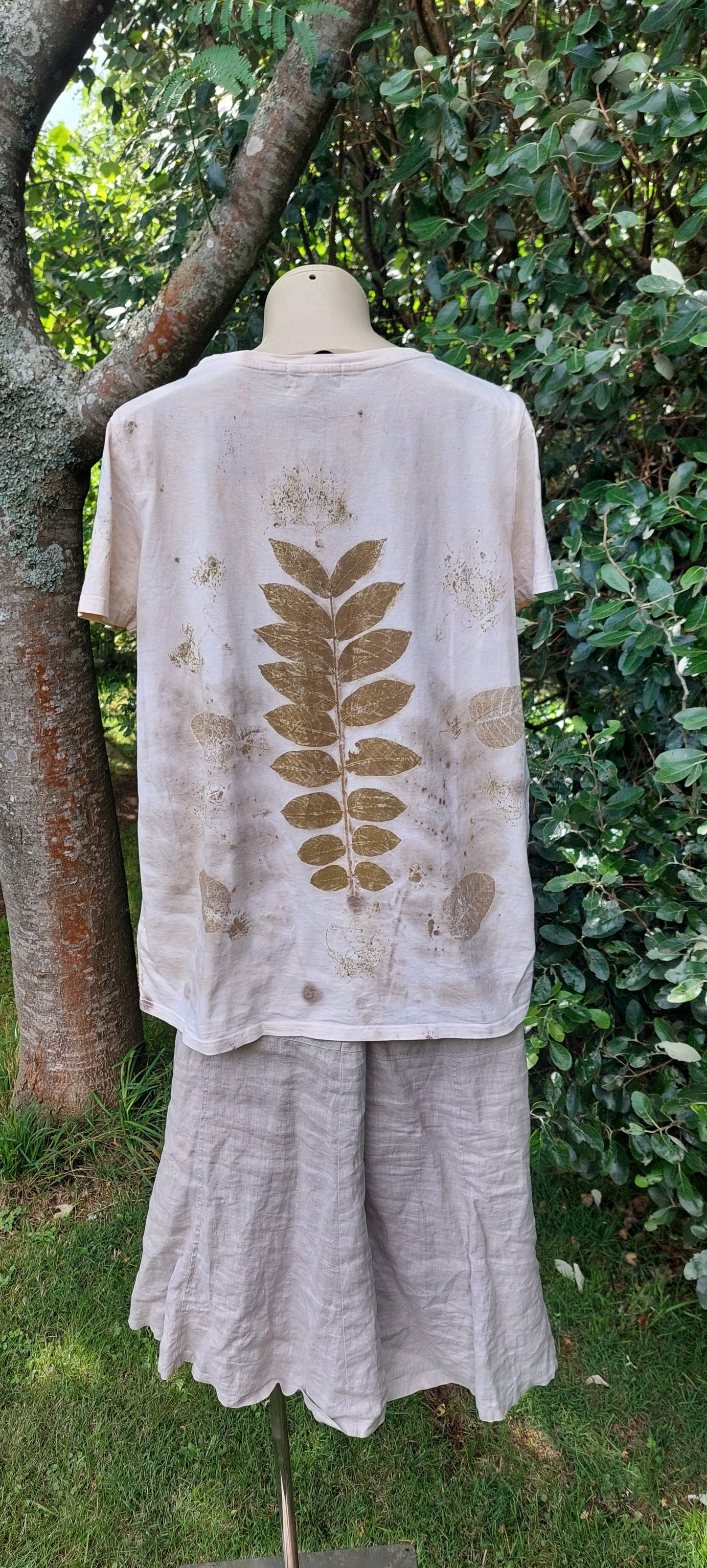 Twin Leaf
