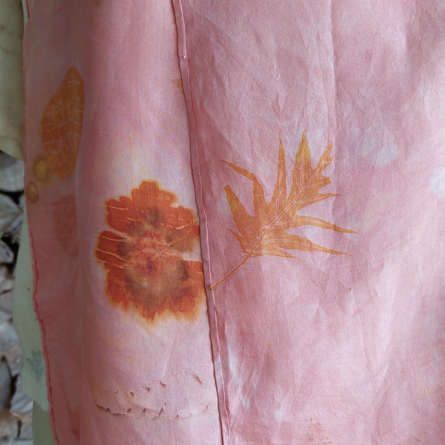 Blush Petal
