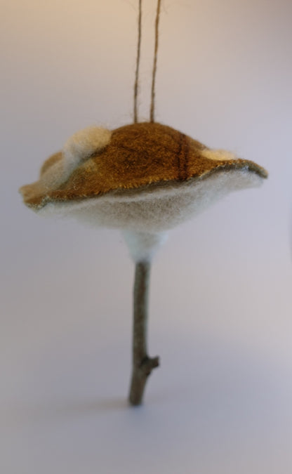Forest Spore Toadstools